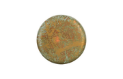 BUTTON WALL ART DEEP LICHEN