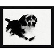DOGS 1