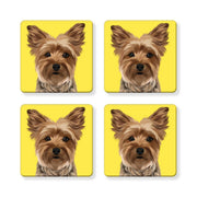 Set of 4 MDF Coasters - Yorkie Yorkshire Terrier