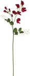 SWEET PEA 25” CRM