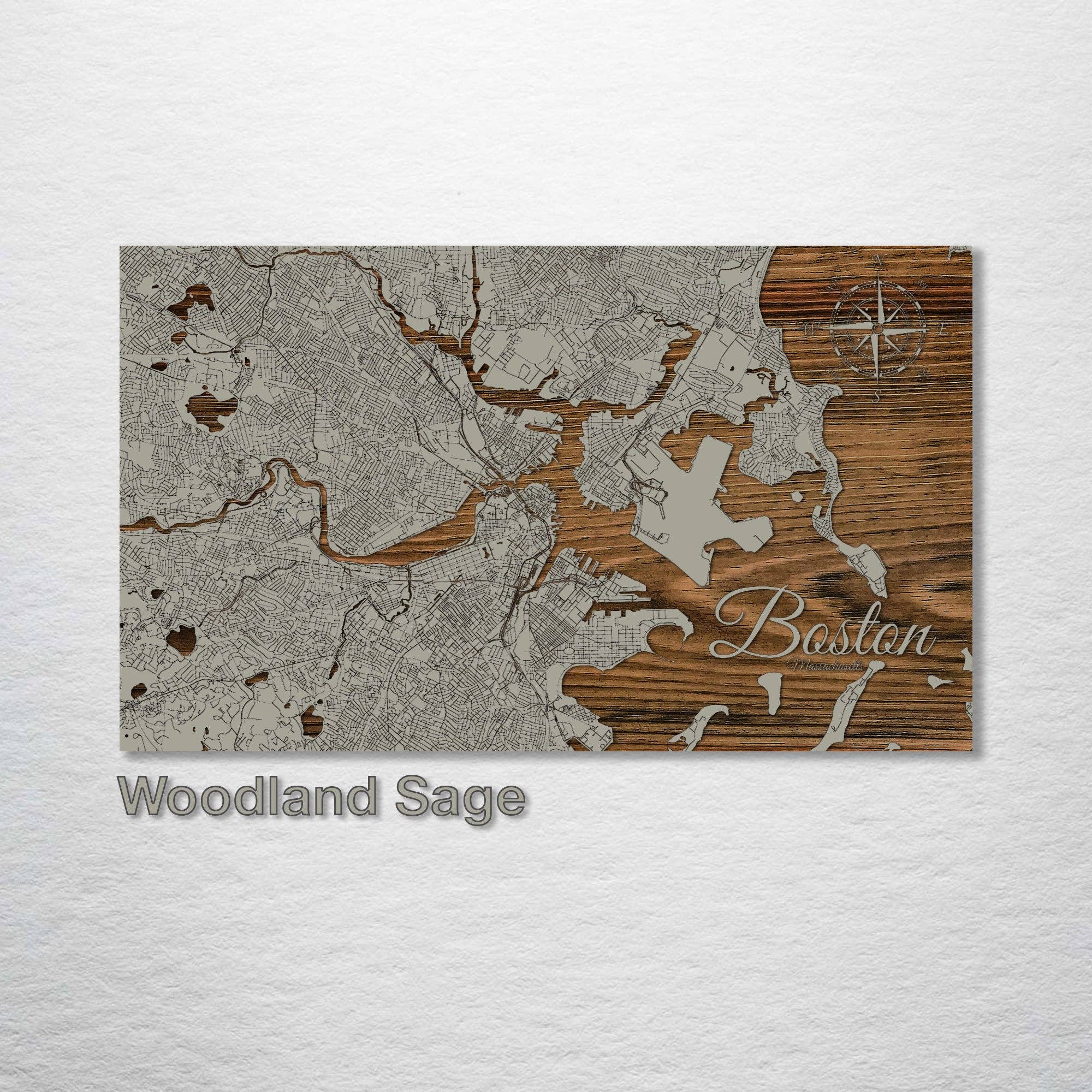 Massachusetts: Boston  Street Map