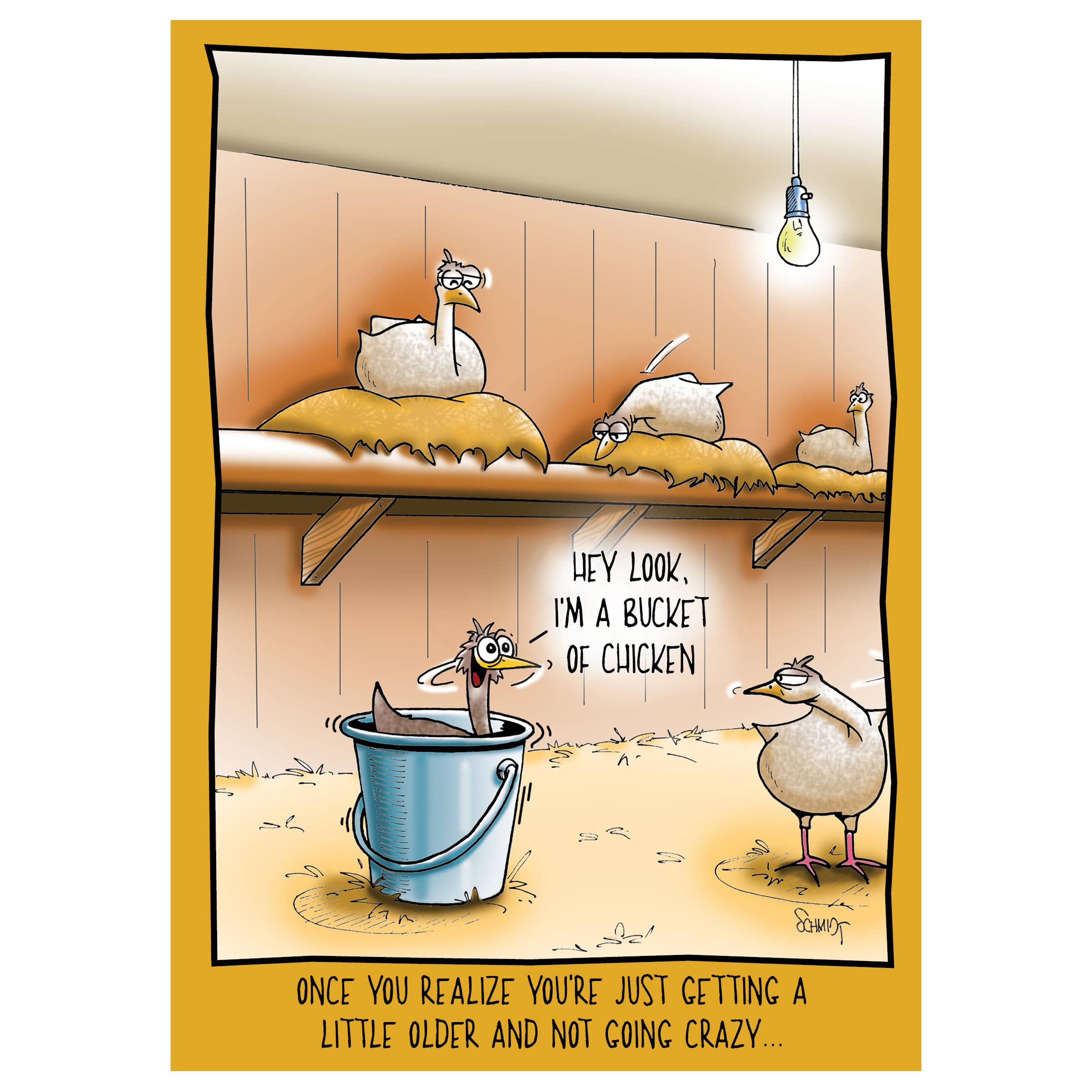 Bucket of Chicken | Hilarious Birthday Card