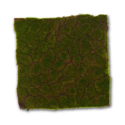 MOSS MAT 16.25”