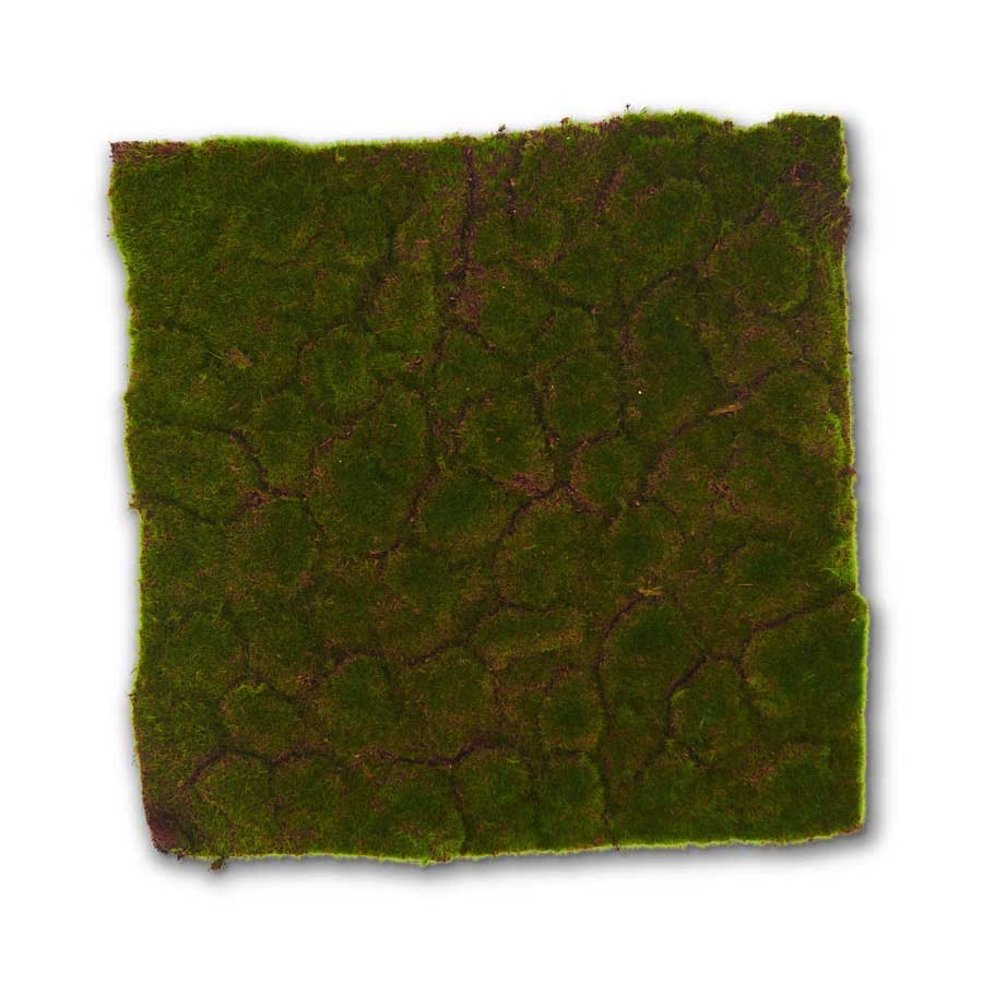 MOSS MAT 16.25”