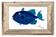 Pompano Print: 4" X 6" With Frame