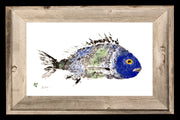 BLUE GREEN SCUP FISH ART