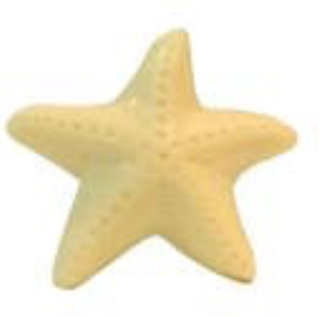 STARFISH SOAP