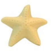 STARFISH SOAP