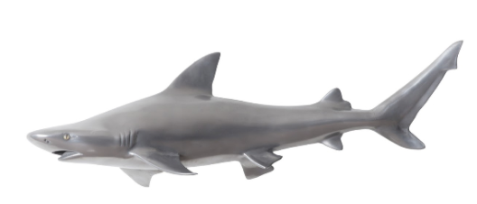 Black Tip Reef Shark, Polished Aluminum