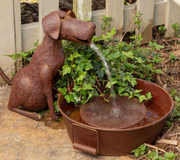 BEST FRIEND FOUNTAIN