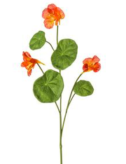 23" NASTURTIUM SPRAY FL