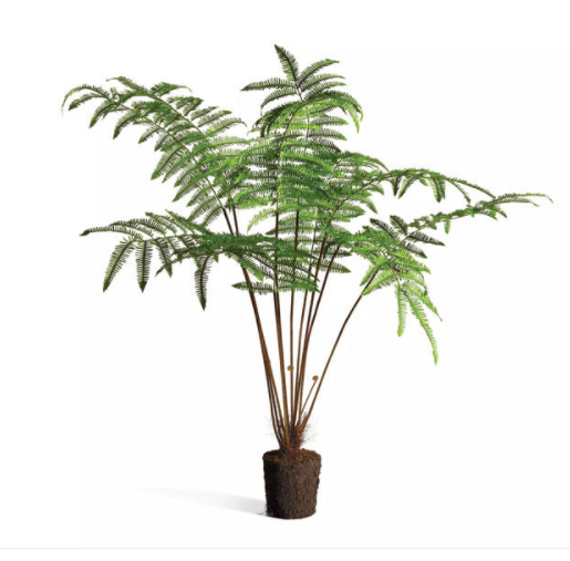 FOREST FERN DROP IN 60"