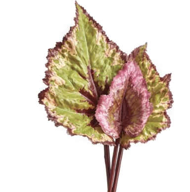 BEGONIA LEAF STEMS BUNDLE/3 PINK