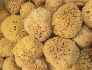 NATURAL SEA WOOL SPONGE