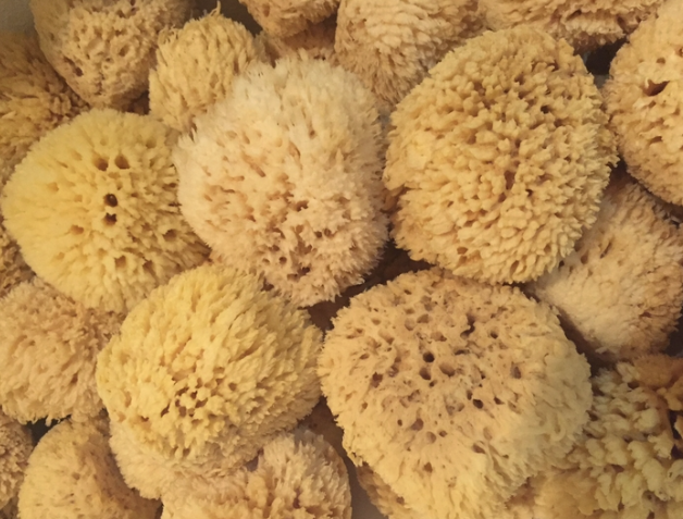 NATURAL SEA WOOL SPONGE