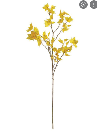 MAPLE LEAF BRANCH 50"