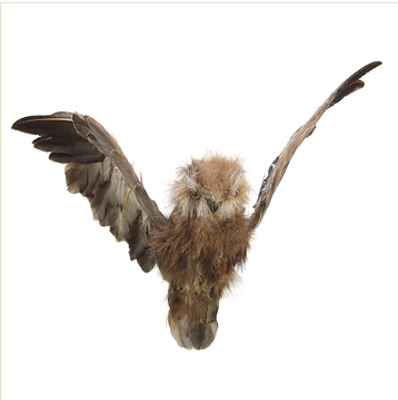 FLYING OWL 10" X 24"