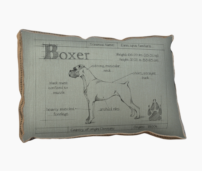 BLUEPRINT BOXER PILLOW