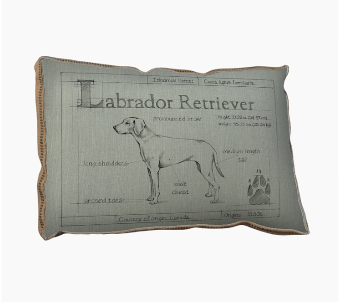 BLUEPRINT LABRADOR PILLOW