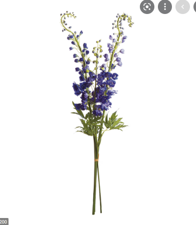 DELPHINIUM 49" STEMS BUNDLE -BLUE