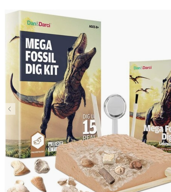 FOSSIL DIG KIT