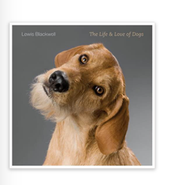 LIFE & LOVE OF DOGS