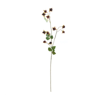 WILD BLACKBERRY STEM 31"