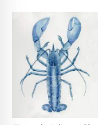 WATERCOLOR LOBSTER - BLUE CRUSH