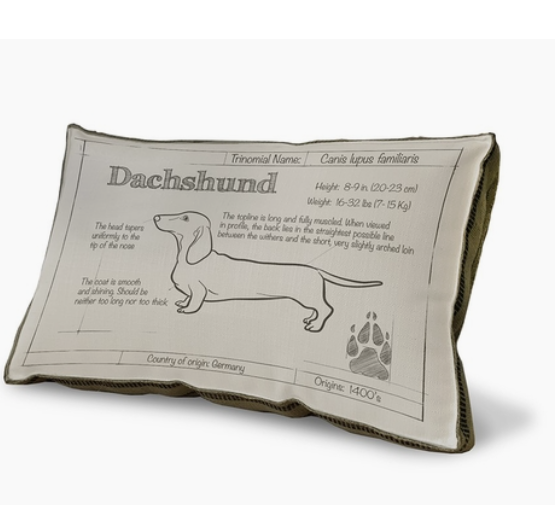 BLUEPRINT DACHSHUND PILLOW