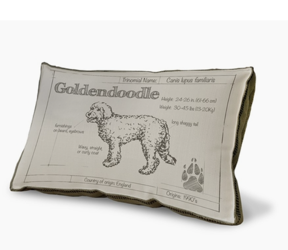BLUEPRINT GOLDENDOODLE PILLOW