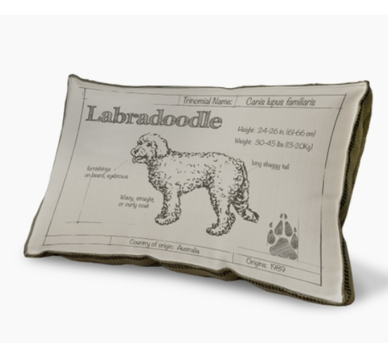 BLUEPRINT LABRADOODLE PILLOW