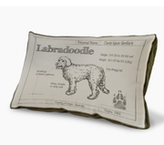 BLUEPRINT LABRADOODLE PILLOW